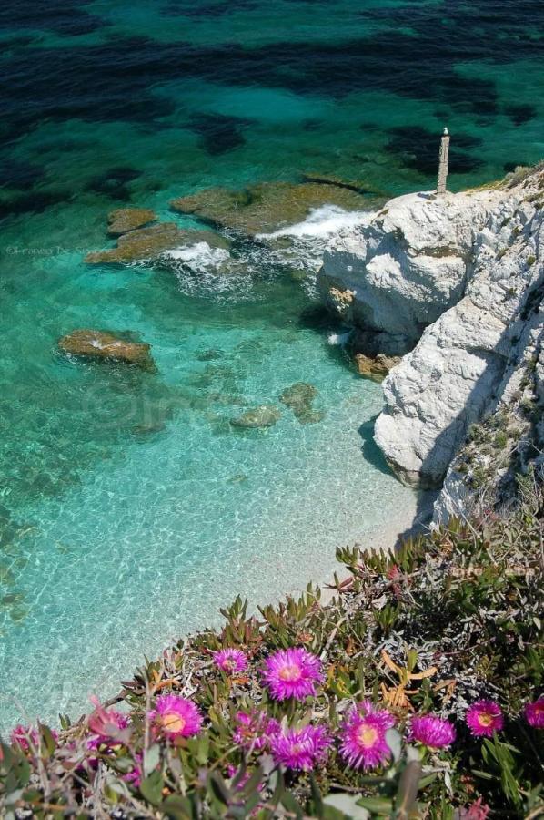 Appartamento Mare Fuori Portoferraio Esterno foto