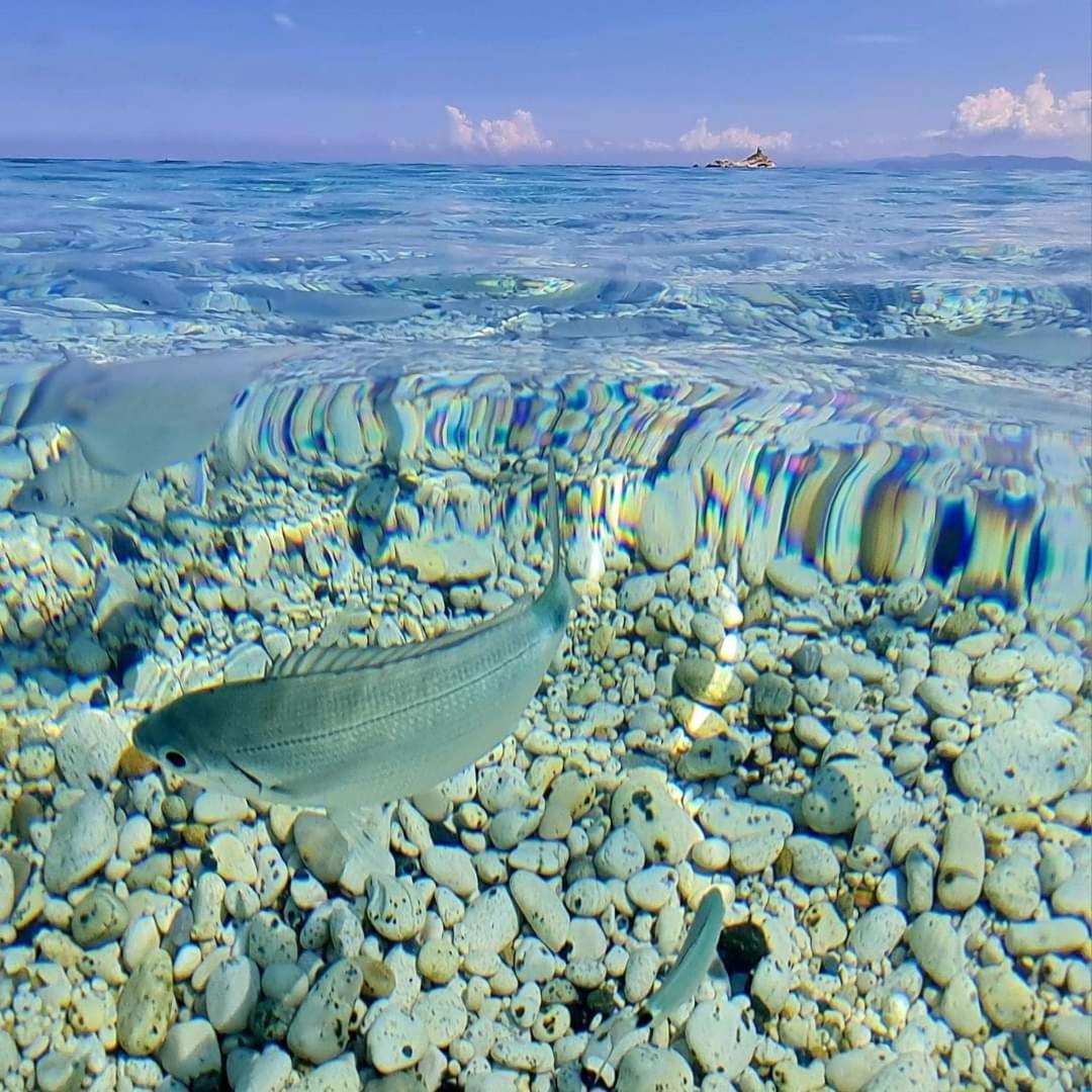 Appartamento Mare Fuori Portoferraio Esterno foto