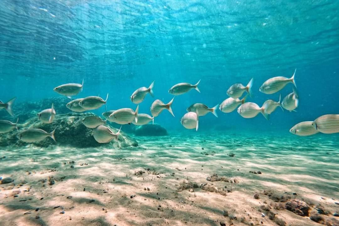 Appartamento Mare Fuori Portoferraio Esterno foto